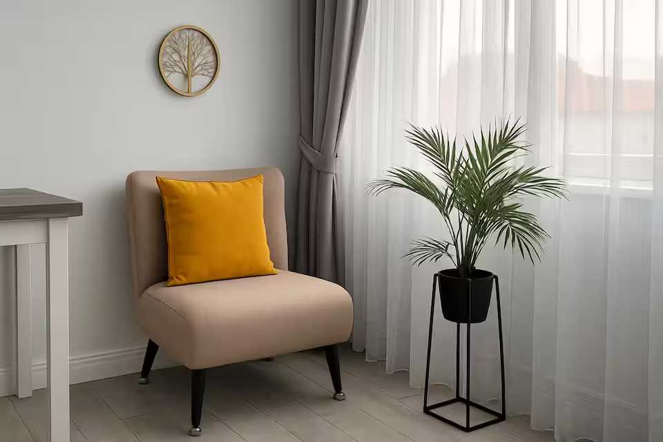 O cameră cu un scaun și o plantă cu oală — studio în Oradea