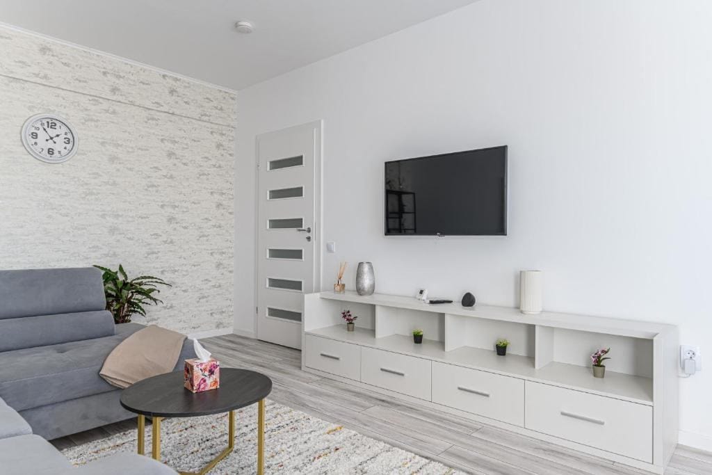 O cameră de zi cu un televizor cu ecran plat și o plantă cu oală — apartament în Brașov