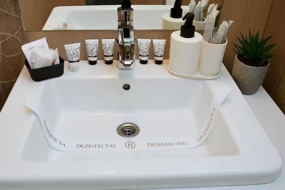 O baie cu chiuvetă și o oglindă — apartament în Oradea