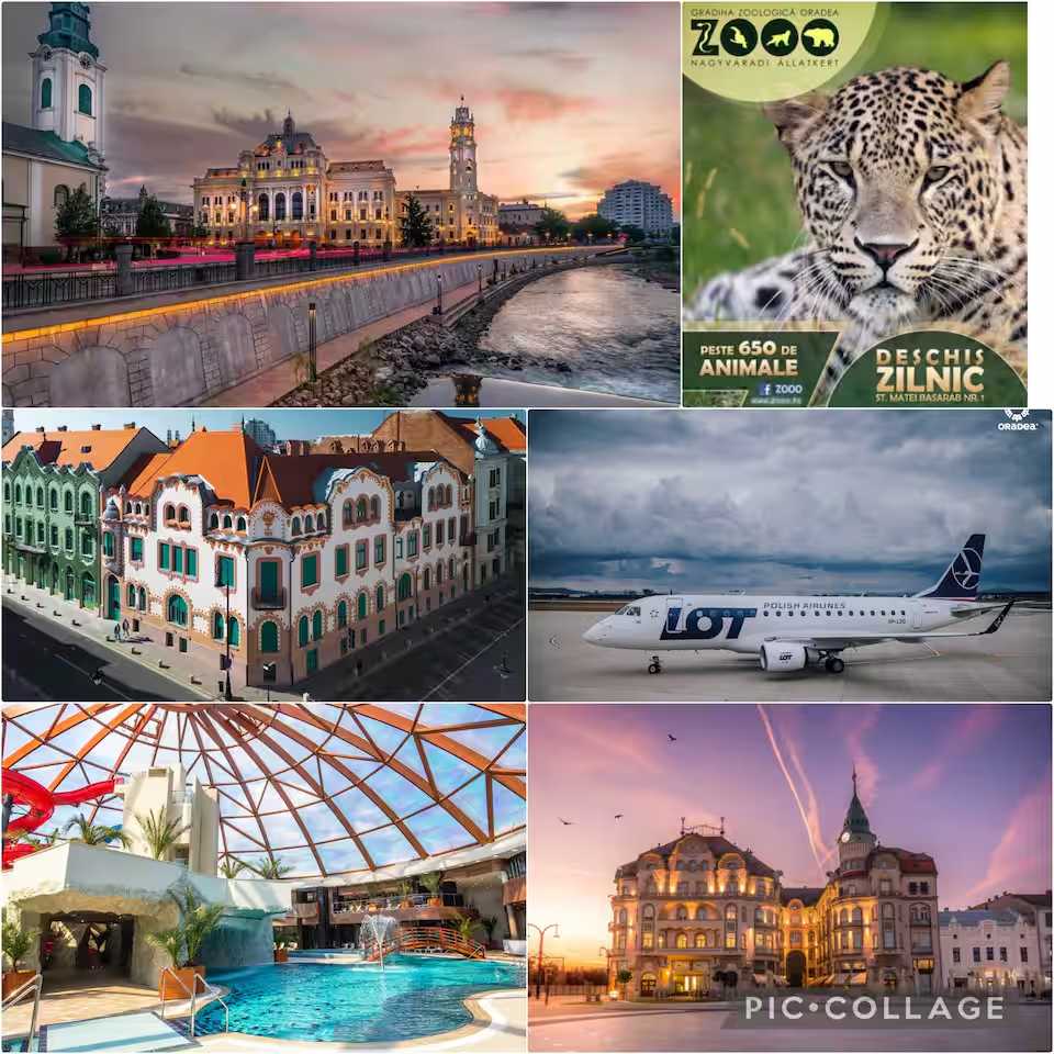 O cameră de hotel cu fereastră mare — apartament în Oradea
